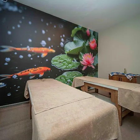 Peony Palace Hotel Spa & Wellness 4*