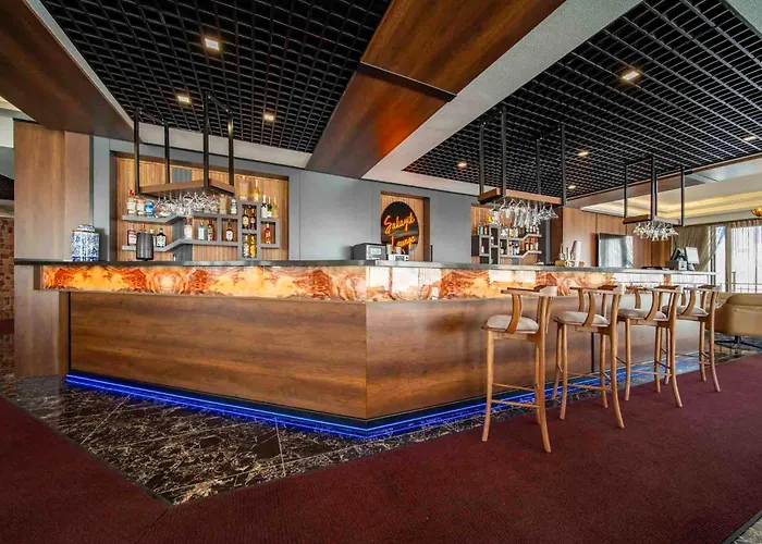 Peony Palace & Wellness Hotel Kayseri