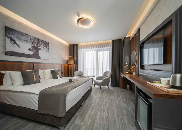 Peony Palace & Wellness Hotel Kayseri