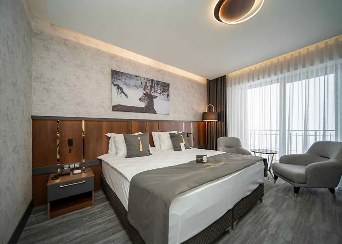 Hotel Peony Palace & Wellness Kayseri